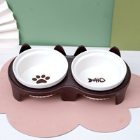 Nouveau Style vente en gros incliné chien chat fontaine d'eau personnalisé en céramique chien bol surélevé chat bols