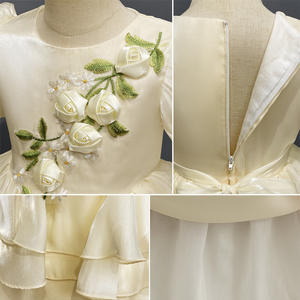 Kid Jurk Voor Meisjes 3-10y Tule Borduurwerk Prinses Kostuum Verjaardagsfeest Bruiloft Kinderen Prom Jurk Tutu - Product Image 3