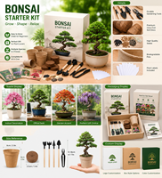 Kit de démarrage de bonsaï personnalisé DIY avec outils et différentes espèces d'arbres - Choix de cadeau dans un emballage créatif