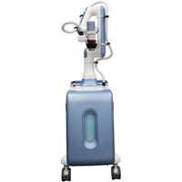 Robot Pijat Spa Profesional Cerdas 220V untuk Hotel Mewah (Jantan dan Betina)