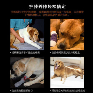 Soporte de Rodilla para Perro, Negro, Ajustable, Soporte Articular para la Recuperación de Mascotas, Protección de Patas de Perro, Ortesis Ortopédicas - Product Image 2