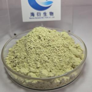 مسحوق بروتين نباتي عضوي بدون محليات صناعية، 60% بروتين بذور اليقطين، قابل للتخصيص - Product Image 3