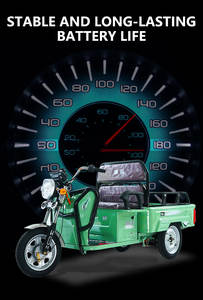 Elektrische Vrachtdriewieler Met Industriële Sterkte Met 500Kg + Laadvermogen - Product Image 5