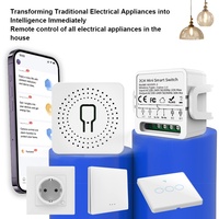 Interrupteur intelligent Tuya Zigbee 2CH avec application et commande vocale AC100-240V, télécommande bidirectionnelle, minuterie, compatible avec Alexa Google Home