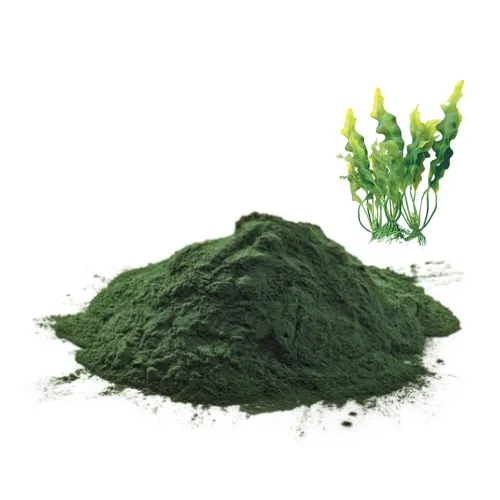 Sıcak satış yeşil Pigment Phycocyanin özü organik Spirulina tozu hayvan yemi karidesler ve tavuk için iyi fiyat