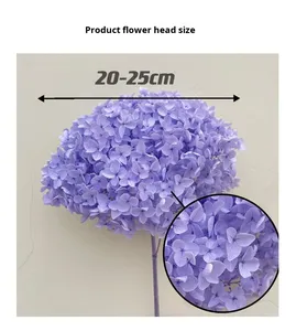 Anna <span class=keywords><strong>hortensia</strong></span> fleur séchée branche unique <span class=keywords><strong>hortensia</strong></span> éternel décoration de la maison multicolore en gros pour les Occasions de remise des diplômes - Product Image 5