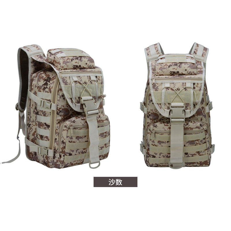 ทะเลทรายดิจิทัล