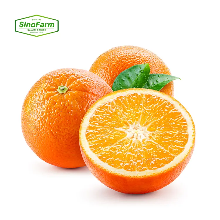 Nabel orange Valencia Orange Frische Früchte Hochwertige frische Bio-Orange