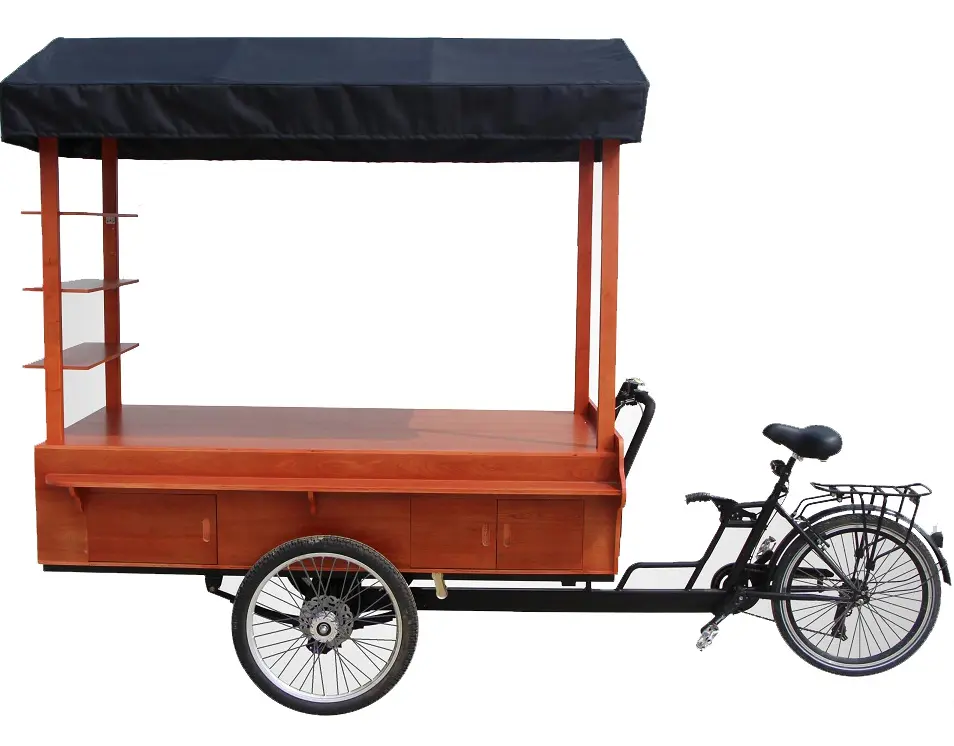 Hand In Hand Voertuig Elektrische Cargo Bike Koffie Bike