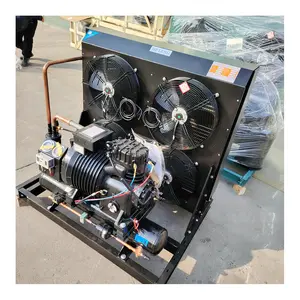 Compresor de refrigeración de pistón semihermético de baja temperatura Unidad de condensación de refrigeración R744