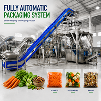 Machine automatique pour légumes (carottes, haricots) – Système VFFS de pesage, remplissage et scellage avec contrôle PLC pour sacs en papier – Haute productivité