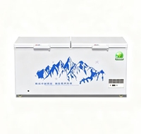 Congélateur horizontal commercial mini électrique à 2 portes, refroidissement direct, grande capacité 420L, pour usage domestique, hôtelier, camping-car et extérieur