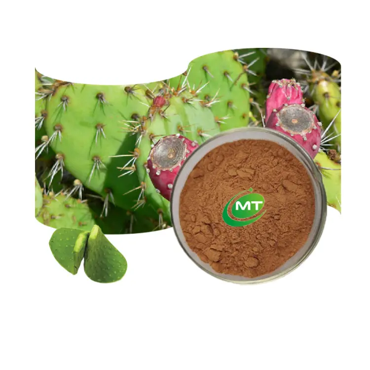 ที่มีคุณภาพสูง20:1ลูกแพร์เต็มไปด้วยหนามกระบองเพชร Opuntia Ficus-Indica Nopal ผงสารสกัดจากใบ