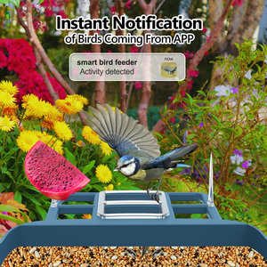 Thông minh <span class=keywords><strong>Bird</strong></span> Feeder với máy ảnh năng lượng mặt trời Powered <span class=keywords><strong>1080P</strong></span> HD chim xem máy ảnh ai xác định chuyển động cảnh báo chim máy ảnh - Product Image 2