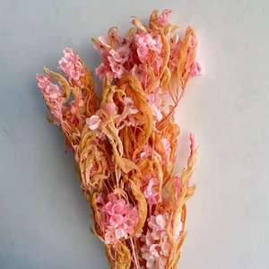 Bouquet de <span class=keywords><strong>fleurs</strong></span> séchées style Ins, 12 pièces, <span class=keywords><strong>fleurs</strong></span> éternelles, papillons de décoration artistique - Product Image 6