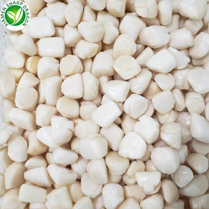 IQF Sharpdragon Đông Lạnh Bay Sò Thịt Trong Số Lượng Lớn Bao Bì - Product Image 4