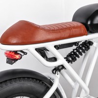 Vélo électrique 500W 48V 15AH avec pneus larges de 20 pouces, idéal pour les trajets quotidiens, première expérience de vélo électrique, cadre en acier carbone pour les week-ends décontractés