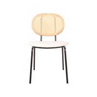 Vente en gros de chaise simple et moderne pour gagner de la place chaise à dossier en rotin avec structure en métal