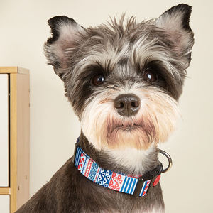 <span class=keywords><strong>Collar</strong></span> para Perro con Estampado Multicolor, Estilo Simple y Moderno para Perros Pequeños, Medianos y Grandes, <span class=keywords><strong>Collar</strong></span> de Nailon Resistente para Mascotas, Pitbulls, Poodles - Product Image 3