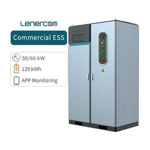 Lenercom Industriële Commerciële Bess Batterij Energieopslagsysteem Zonne-Boerderij Montagesysteem Mw