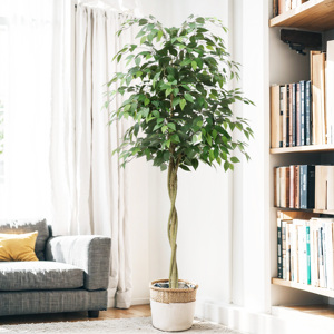 Nhân Tạo Lớn <span class=keywords><strong>Ficus</strong></span> Cây 6ft Sàn Chậu Trang Trí Nội Thất Thực Tế Banyan Cây Với Lụa Lá Cho Trong Nhà Nhà Văn Phòng Phòng Sảnh Trang Trí Nội Thất - Product Image 3