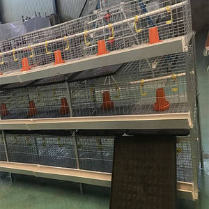 En iyi fiyat tavuk çiftliği ekipmanları otomatik tavuk tabakası pil kafes levha sağlanan tavuk kümesi 3 katmanlar 2 tavuk evi 68 - Product Image 4