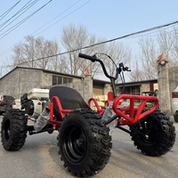 Kart de Carreras Profesional de 212cc, Gasolina, 4 Tiempos, Llantas de 8-10 Pulgadas, Transmisión por Cadena, Frenos de Disco Hidráulicos, Velocidad Máxima de 60km/h, para Entretenimiento