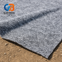Bâche géosynthétique en bentonite aiguilletée, résistante aux UV, durable pour la couverture finale des décharges et l'utilisation comme couvercle.