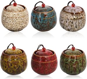 Mini Urne in Ceramica per Ceneri di Animali Domestici, Decorative Commemorative, Ricordi di Cremazione, per Funerali Personali - Product Image 1
