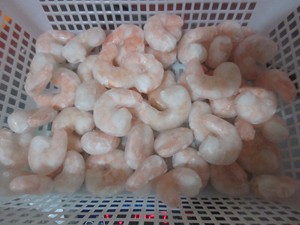 Vendita diretta all'ingrosso di gamberetti Vannamei cotti surgelati Undeveined cina fabbrica Fujian - Product Image 2