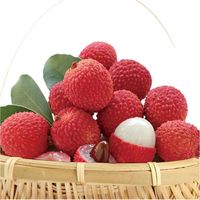 Bac Giang Lychee Vers Fruit Met Een Rijke Smaak En Biologische Landbouw Klaar Voor Export