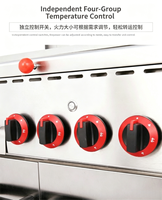 Rôtissoire verticale motorisée à gaz et électrique, pour shawarma moyen-oriental et brésilien, alimentée au propane, semi-automatique, pour intérieur et extérieur