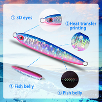 MISTER JIGGING-Leurre de pêche en tungstène personnalisé, 60-250g, 250g