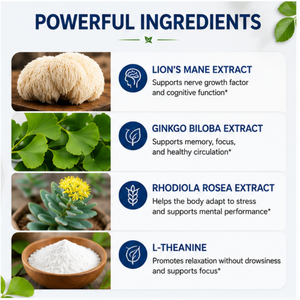 120 Capsules Brain Complex Plus – Mélange Nootropique Multi-Plantes pour la Mémoire, la Concentration, la Clarté Mentale <span class=keywords><strong>et</strong></span> <span class=keywords><strong>l</strong></span>'Équilibre Sain du Stress Quotidien - Product Image 3