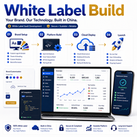 Desarrollo de Software SaaS de Marca Blanca con Desarrollo de Software en China para Plataformas Empresariales en la Nube