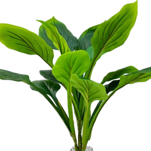 <span class=keywords><strong>Ramo</strong></span> De Arvore Ficus Künstliche Folhas Immergrün Decora cao De Ocasioes Em Promo cao Beliebt De 2024 - Product Image 6