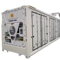Nuevo 40HC 20GP Contenedor de congelación rápida Thermo King Sistema de doble compresor 50% Tiempo de congelación más rápido