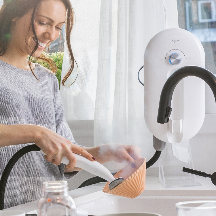 1800 Вт 3 бар Dayoo OEM Интеллектуальная портативная микроволновая печь Парошайба кухня пароочиститель посудомоечная машина