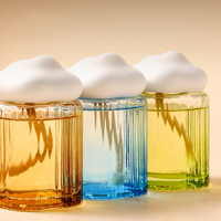 Diffuseur de parfum pour la maison, décoration, pierre aromatique, bouchon de bouteille en forme de nuage, bouteille en verre de 160 ml, aromathérapie, désodorisant pour voiture