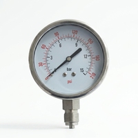 Manomètre numérique de pression d'eau 210 psi à connexion filetée 1/8 1/4, vente chaude