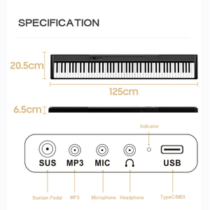 Fabricant d'instruments de musique <span class=keywords><strong>chinois</strong></span>, <span class=keywords><strong>piano</strong></span> numérique avec touches de fonction composite, Bora BX16, vente chaude pour une belle apparence - Product Image 3