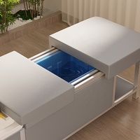 Lit de Spa Moderne avec Réservoirs d'Eau Portables, Sans Plomberie Requise, Lit de Massage à Cycle d'Eau et Vapeur pour Tête, Idéal pour Salon de Beauté, Lit de Shampoing Pratique