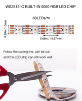 Bande LED RGB à pixels programmables, bande LED magique adressable, bande LED Ws2812b, bande LED 5V, éclairage de décoration paysagère