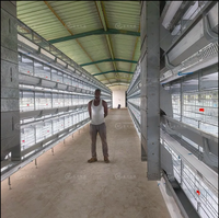 Cage à poulets de type H pour 90 à 200 poulets, cage à poulets galvanisée, équipement d'élevage avicole, cage à poulets automatique