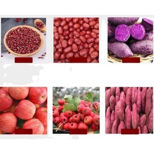 Highcapacity Fruit Molasses Production Line Suitable for <b>Red</b> <b>Date</b> and Various Fruits - Product Image 2