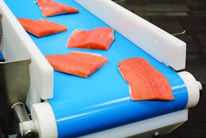 <span class=keywords><strong>Mini</strong></span> Polyurethaan Transportband Voor Zeevruchten Vlees - Product Image 6