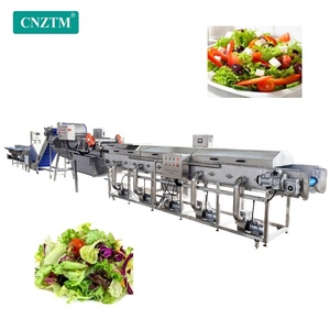 1000 kg/giờ công nghiệp tươi bắp cải cắt lát cắt giặt sấy Máy chế biến đóng gói rau trộn tùy chỉnh - Product Image 6