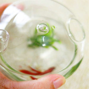 Fabrieksprijs Beste Verkoop Op Maat Gemaakte Creatieve Huisdecoratie Opknoping Glaswerk Kleine Vissenkom Plant Vaas - Product Image 4