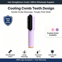 Brosse Lissante Chauffante Portable en Céramique, Utilisation Humide et Sèche, Vapeur Ionique, Rechargeable USB 4000mAh, Infusion d'Huiles Essentielles 160-200