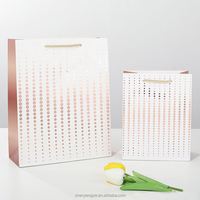 Macchina per la Produzione di Sacchetti di Carta di Lusso con Logo Personalizzato di Alta Qualità a Basso Prezzo per Vendita all'Ingrosso e al Dettaglio